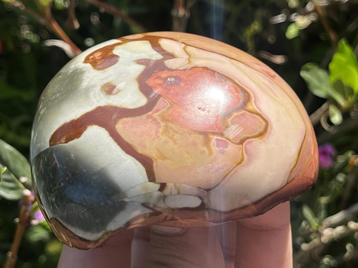 Polished On One Side Polychrome Picasso Jasper Display Specimen x 1 From Madagascar
