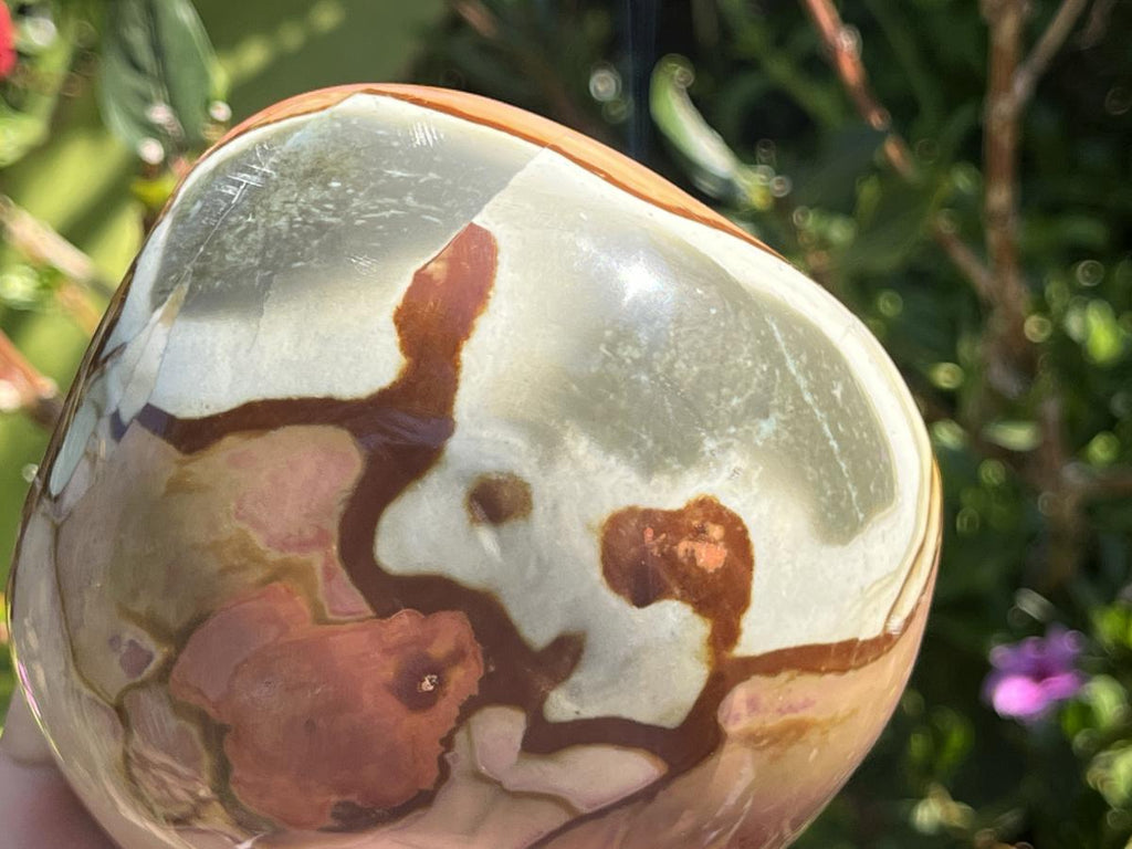 Polished On One Side Polychrome Picasso Jasper Display Specimen x 1 From Madagascar