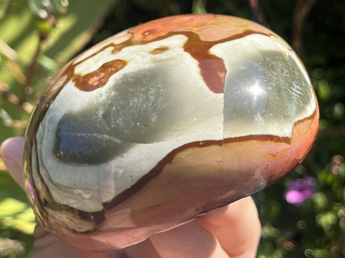 Polished On One Side Polychrome Picasso Jasper Display Specimen x 1 From Madagascar