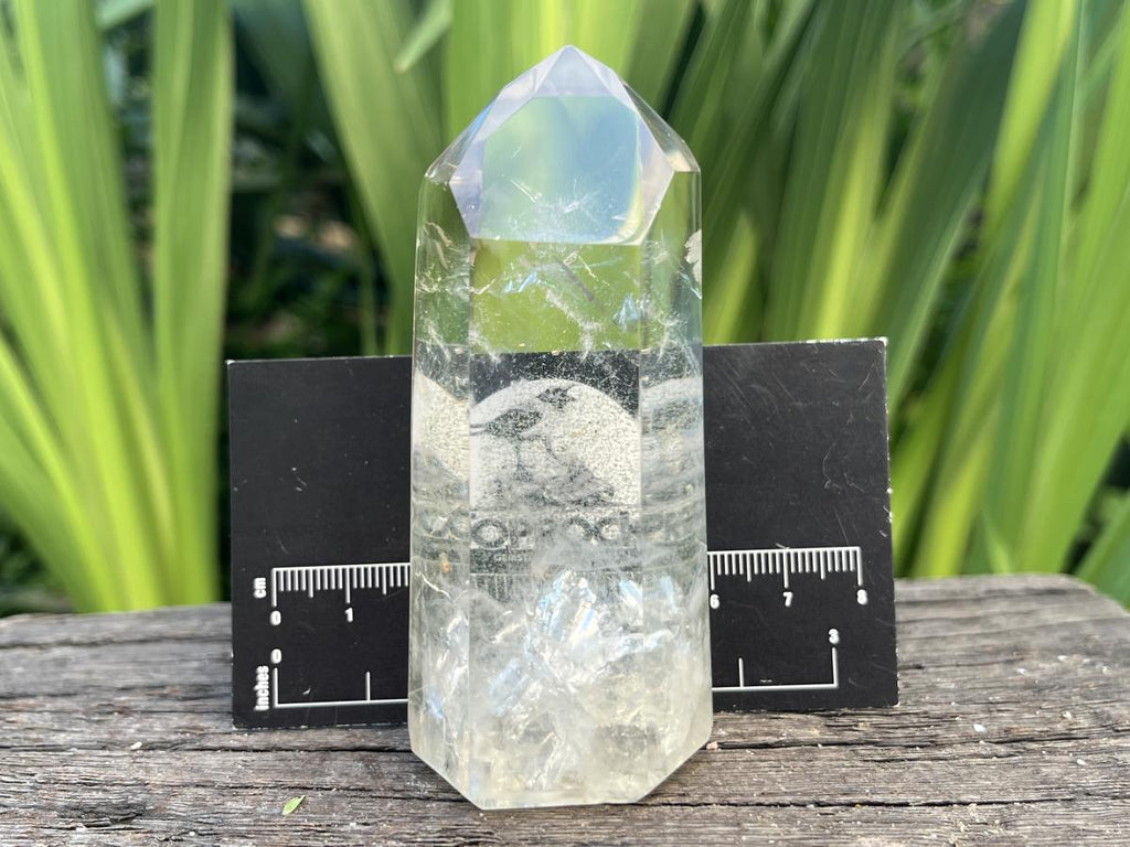Polished Clear Wispy Smokey Phantom Quartz Crystal x 1 From Anzojorobe, Madagascar