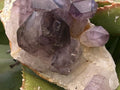 Natural Smokey Amethyst Crystal Cluster x 1 From Brandberg, Namibia