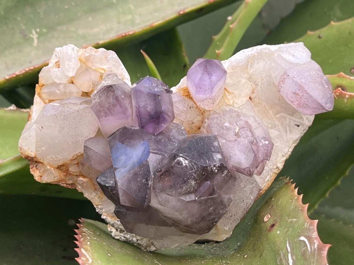 Natural Smokey Amethyst Crystal Cluster x 1 From Brandberg, Namibia
