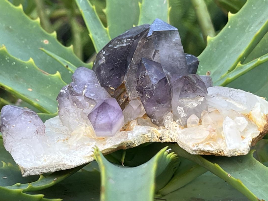 Natural Smokey Amethyst Crystal Cluster x 1 From Brandberg, Namibia