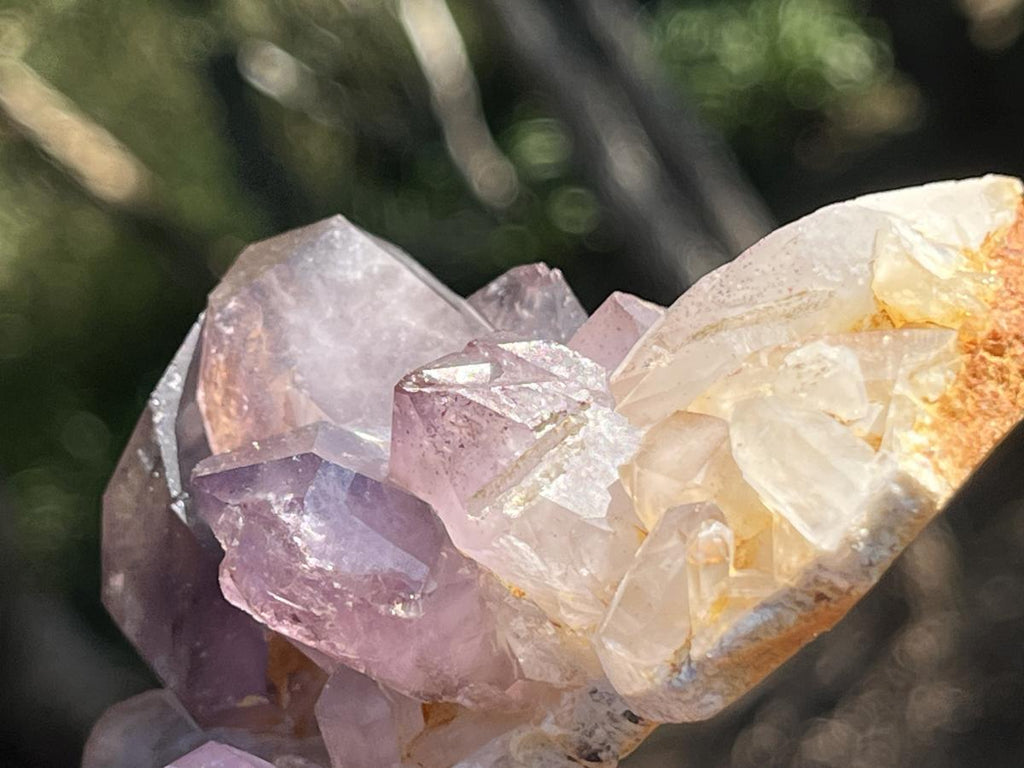Natural Smokey Amethyst Crystal Cluster x 1 From Brandberg, Namibia