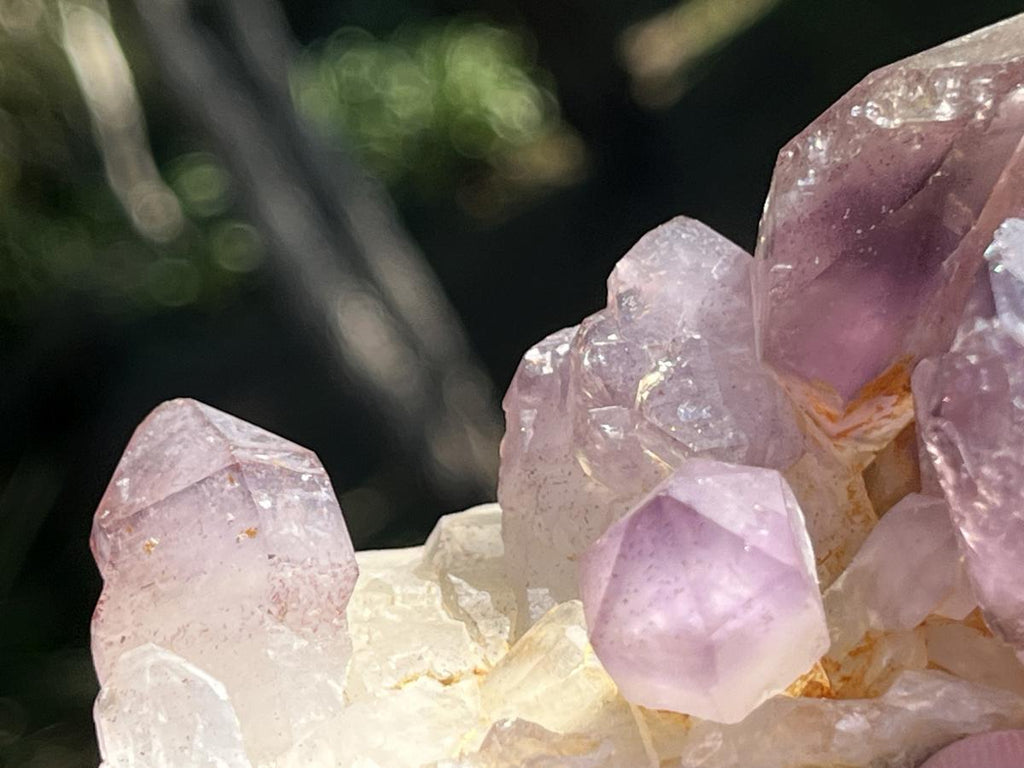 Natural Smokey Amethyst Crystal Cluster x 1 From Brandberg, Namibia