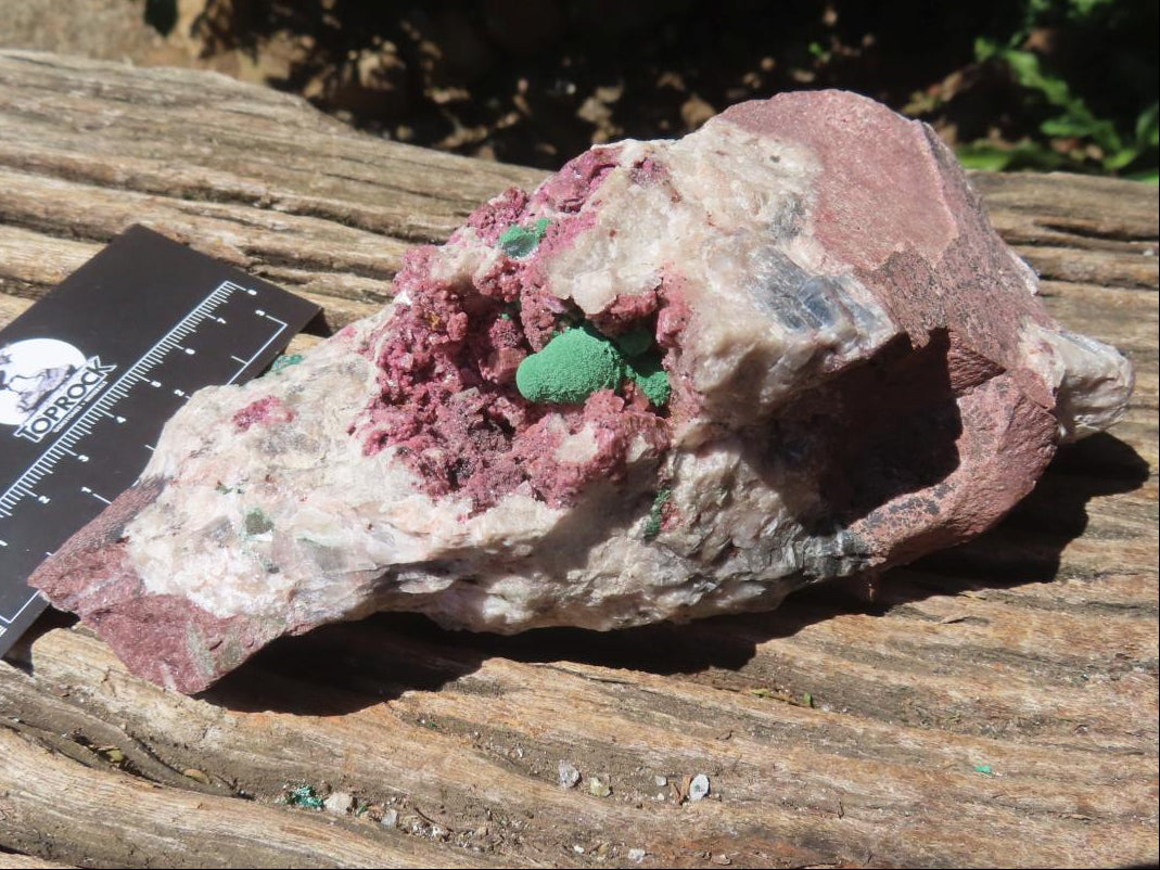 Natural Large Cobaltion Dolomite and Ball Malachite Specimen x 1 From Kakanda, Congo