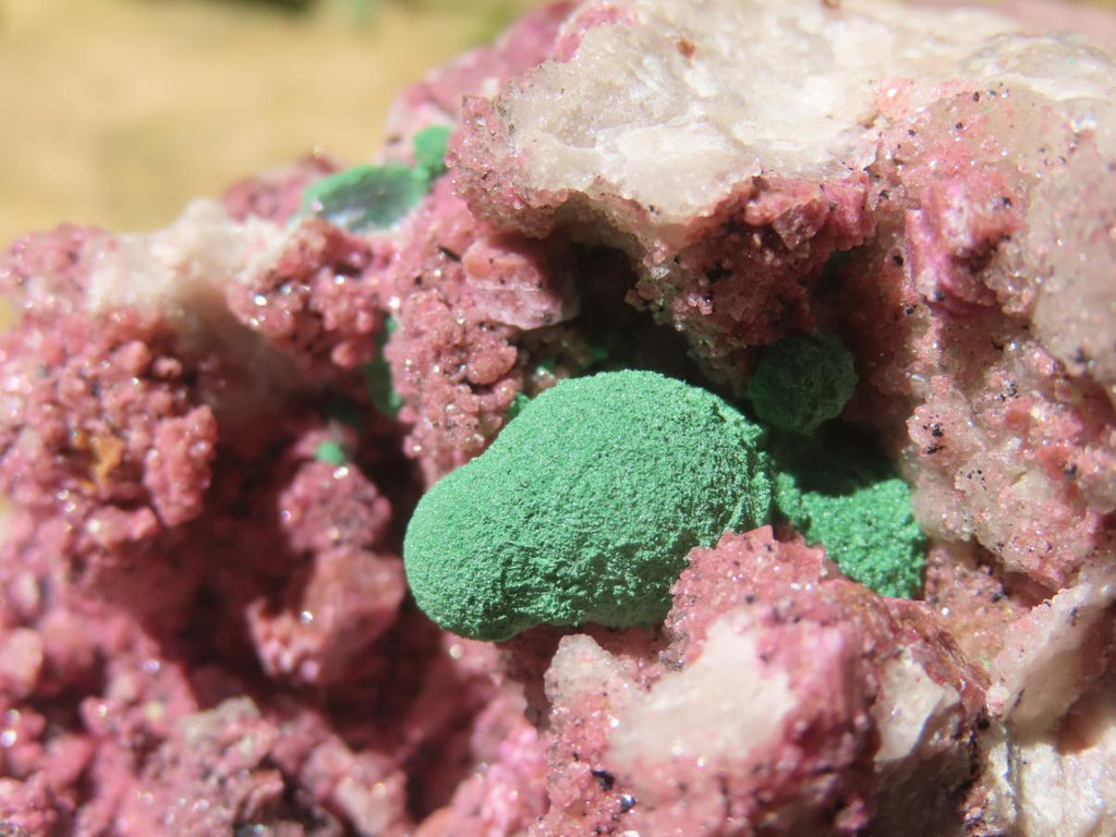 Natural Large Cobaltion Dolomite and Ball Malachite Specimen x 1 From Kakanda, Congo