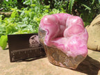 Polished Large Cobaltion Aragonite on Dolomite Specimen x 1 From Congo