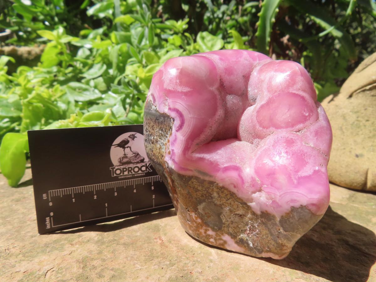 Polished Large Cobaltion Aragonite on Dolomite Specimen x 1 From Congo