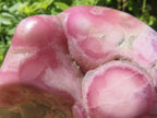 Polished Large Cobaltion Aragonite on Dolomite Specimen x 1 From Congo