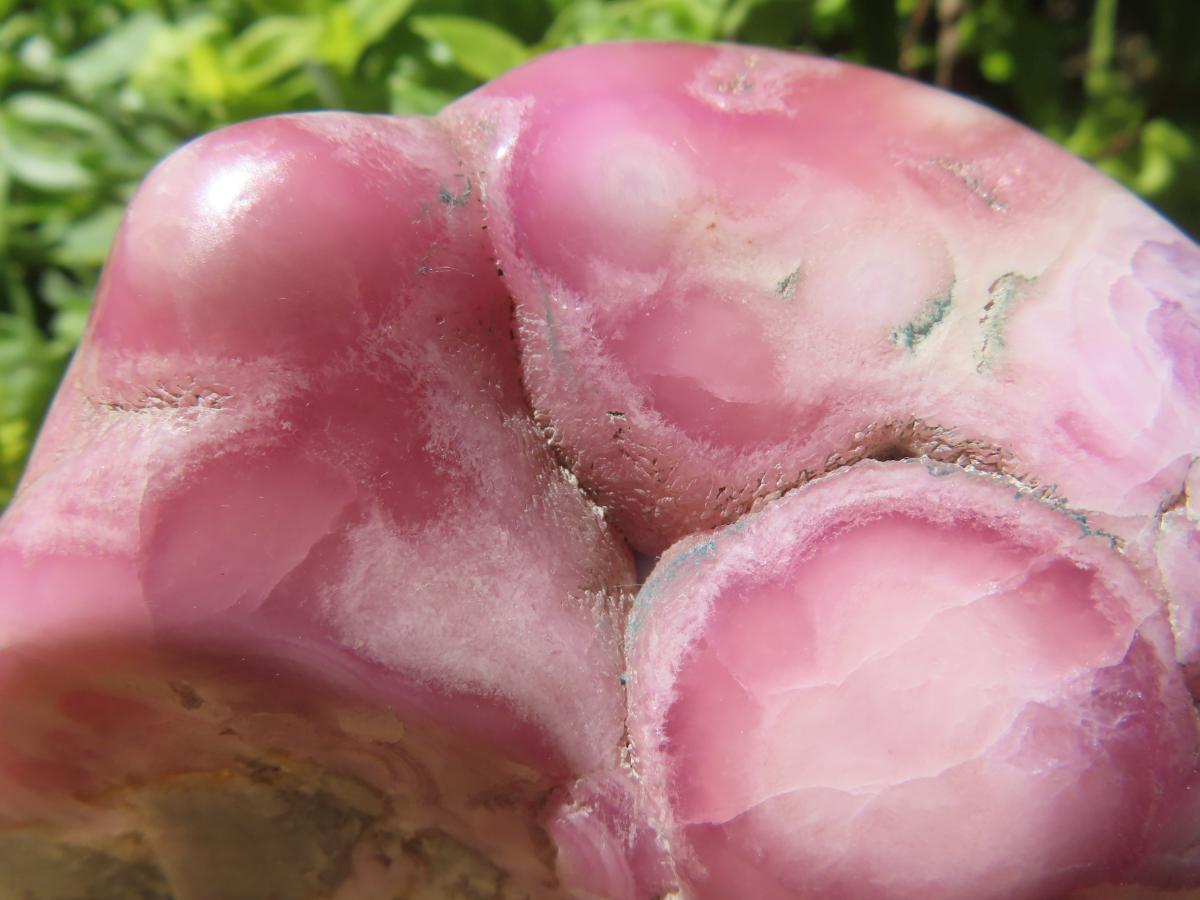 Polished Large Cobaltion Aragonite on Dolomite Specimen x 1 From Congo