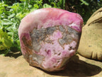 Polished Large Cobaltion Aragonite on Dolomite Specimen x 1 From Congo