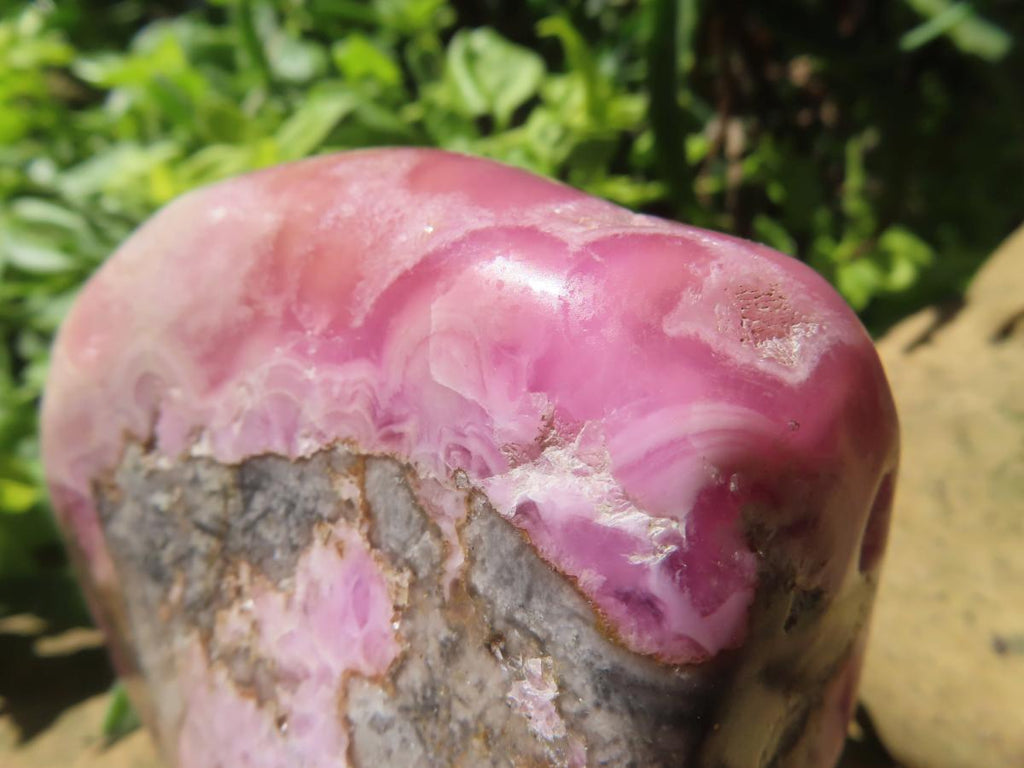 Polished Large Cobaltion Aragonite on Dolomite Specimen x 1 From Congo