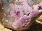 Polished Large Cobaltion Aragonite on Dolomite Specimen x 1 From Congo