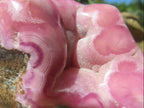 Polished Large Cobaltion Aragonite on Dolomite Specimen x 1 From Congo
