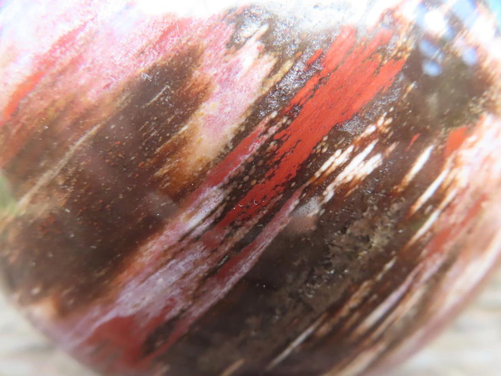 Polished XL Podocarpus Petrified Wood Sphere x 1 From Mahajanga, Madagascar