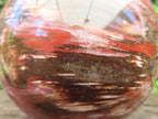 Polished XL Podocarpus Petrified Wood Sphere x 1 From Mahajanga, Madagascar