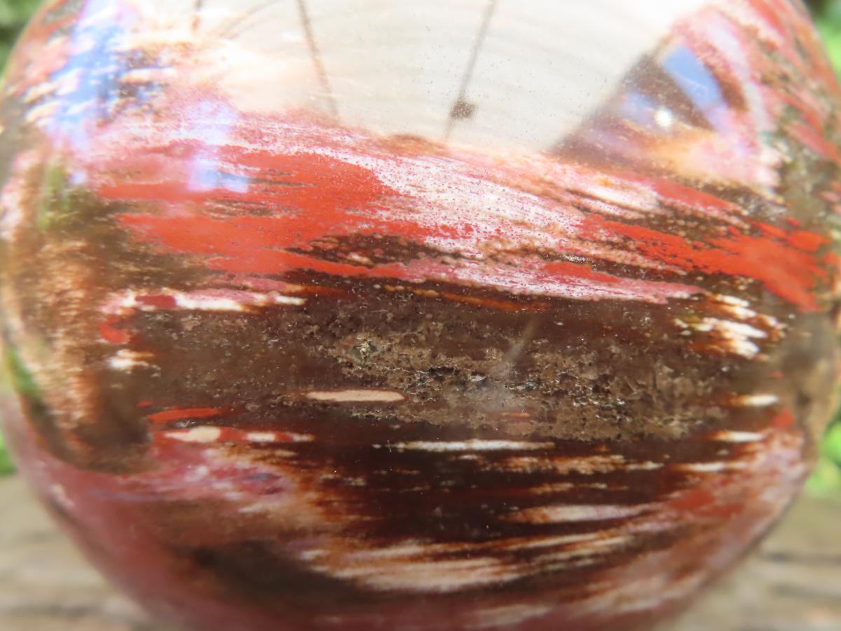 Polished XL Podocarpus Petrified Wood Sphere x 1 From Mahajanga, Madagascar