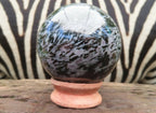 Polished Large Merlinite Gabbro Sphere with Wooden Stand x 1 From Madagascar