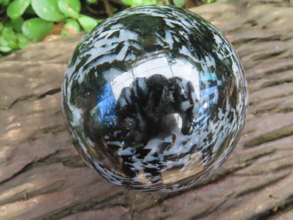Polished Large Merlinite Gabbro Sphere with Wooden Stand x 1 From Madagascar
