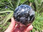 Polished Large Merlinite Gabbro Sphere with Wooden Stand x 1 From Madagascar