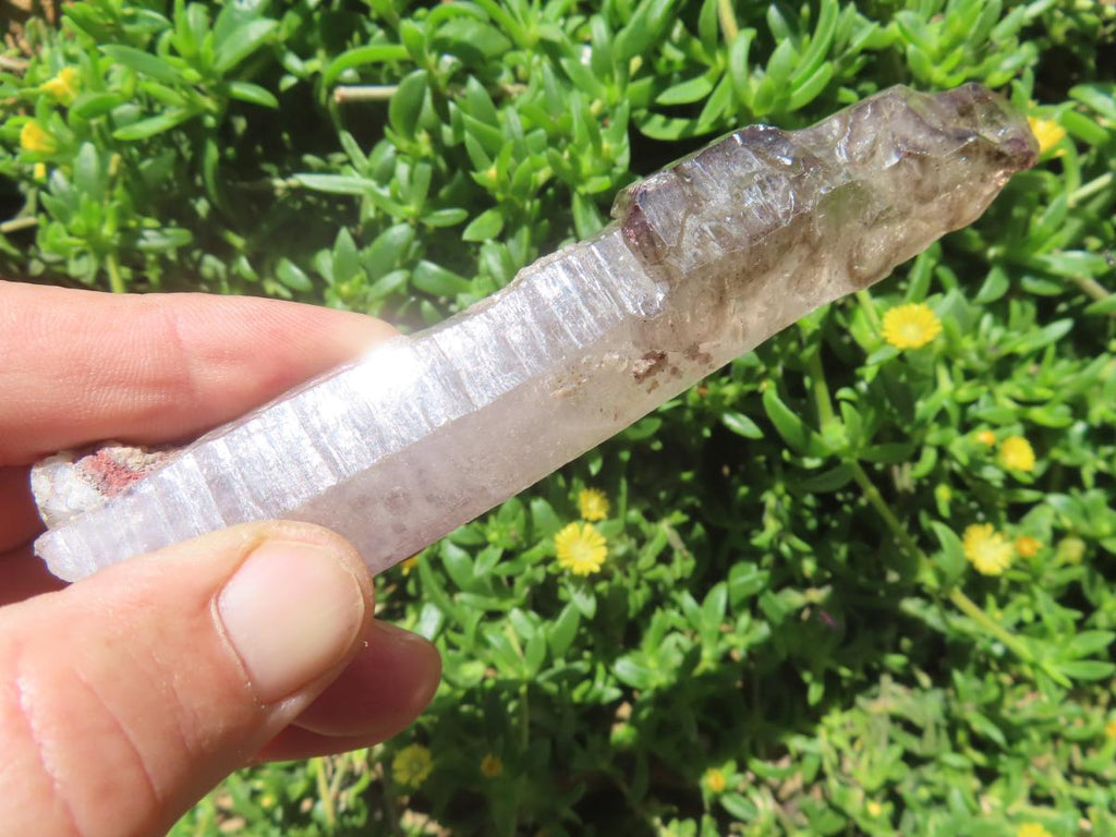 Natural Long Skeletal Smokey Amethyst Sceptre Finger Quartz x 1 From Chiredzi, Zimbabwe