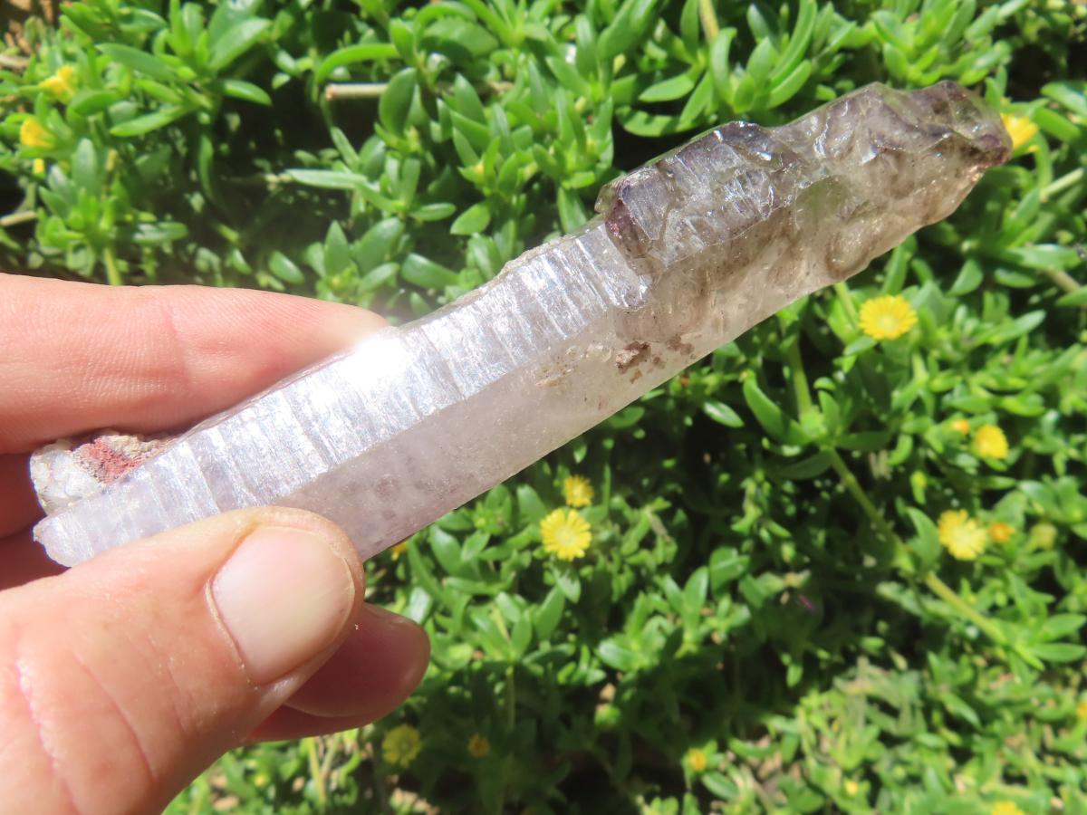 Natural Long Skeletal Smokey Amethyst Sceptre Finger Quartz x 1 From Chiredzi, Zimbabwe