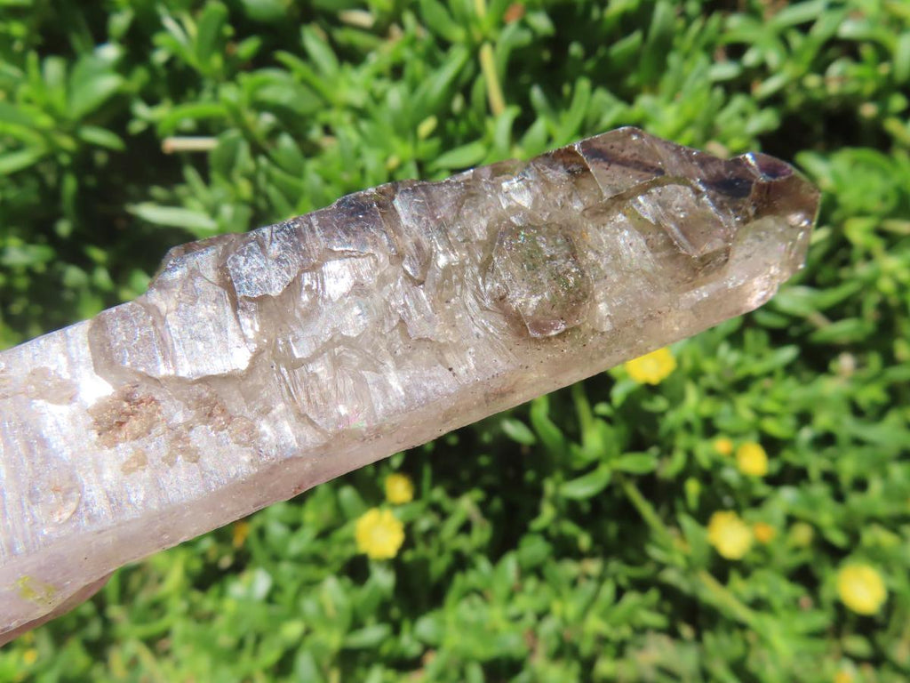 Natural Long Skeletal Smokey Amethyst Sceptre Finger Quartz x 1 From Chiredzi, Zimbabwe
