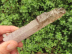 Natural Long Skeletal Smokey Amethyst Sceptre Finger Quartz x 1 From Chiredzi, Zimbabwe