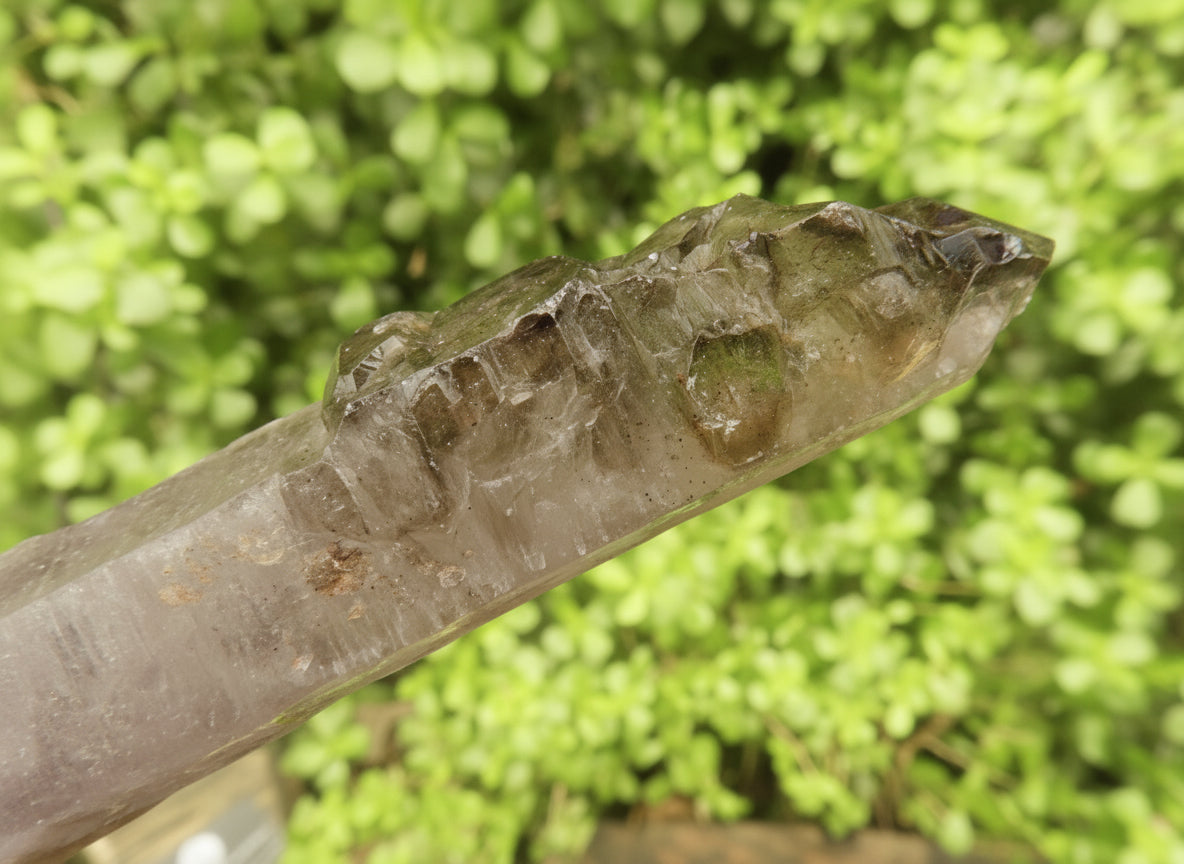 Natural Long Skeletal Smokey Amethyst Sceptre Finger Quartz x 1 From Chiredzi, Zimbabwe