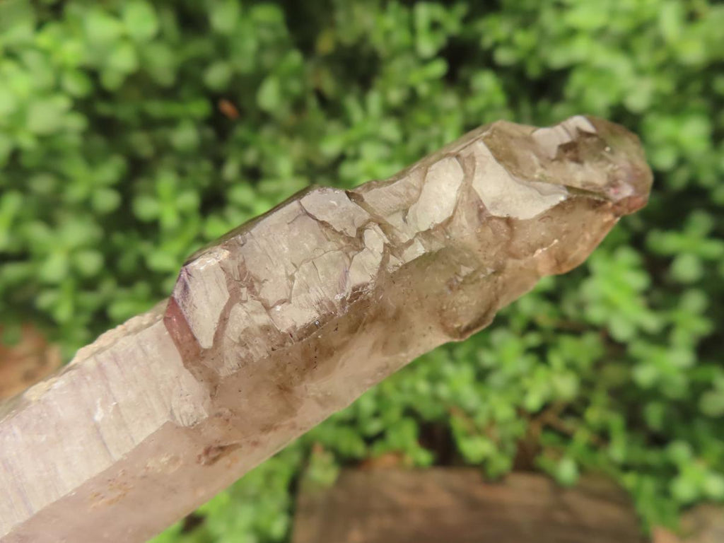 Natural Long Skeletal Smokey Amethyst Sceptre Finger Quartz x 1 From Chiredzi, Zimbabwe