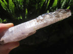 Natural Long Skeletal Smokey Amethyst Sceptre Finger Quartz x 1 From Chiredzi, Zimbabwe