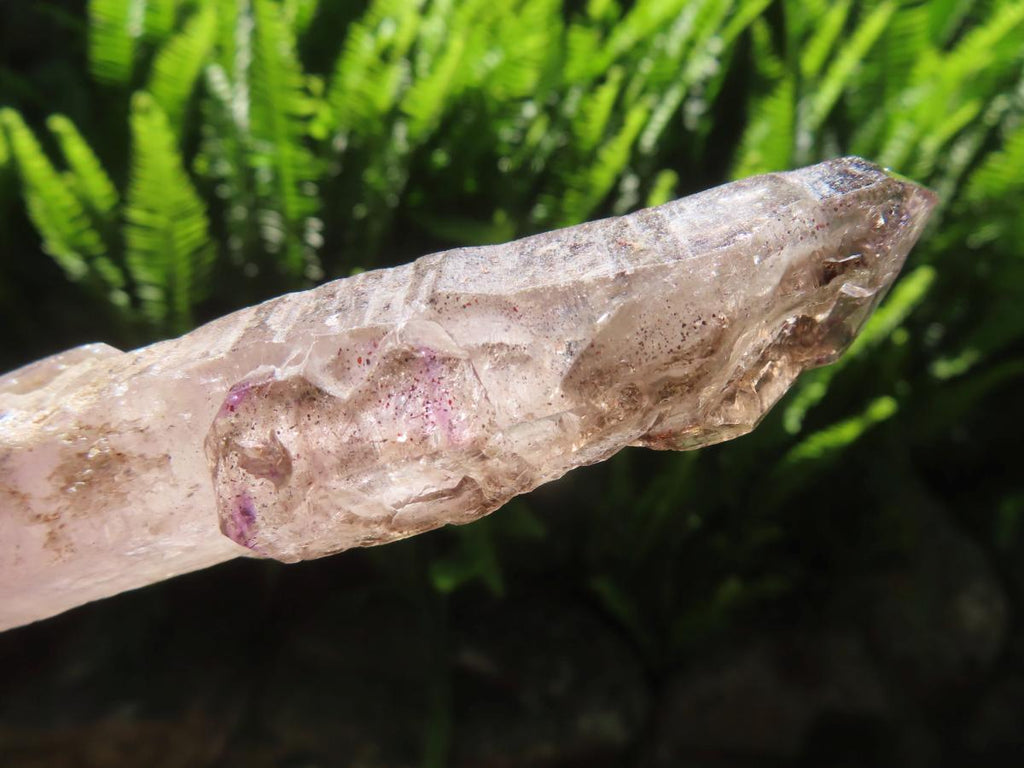 Natural Long Skeletal Smokey Amethyst Sceptre Finger Quartz x 1 From Chiredzi, Zimbabwe