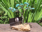 Hand Made Amazonite Gemstone Tree on Feldspar Base x 1 From Zimbabwe