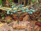 Hand Made Amazonite Gemstone Tree on Feldspar Base x 1 From Zimbabwe