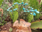 Hand Made Amazonite Gemstone Tree on Feldspar Base x 1 From Zimbabwe