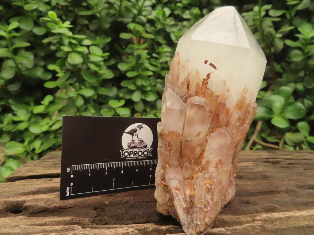 Polished White Phantom Cascading Candle Quartz Crystal x 1 From Madagascar