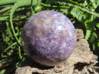 Polished Purple Lepidolite with Pink Rubellite Tourmaline Sphere x 1 From Madagascar