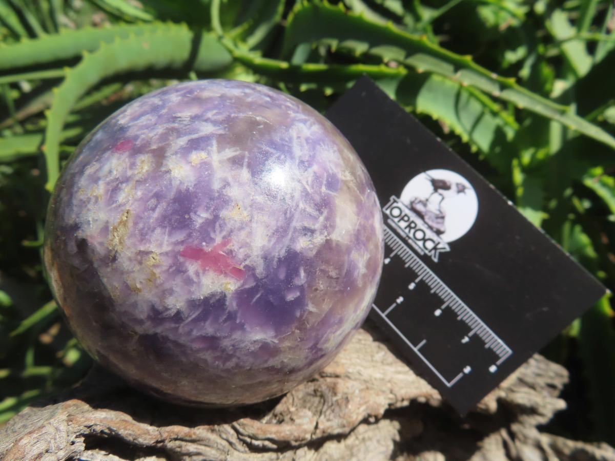 Polished Purple Lepidolite with Pink Rubellite Tourmaline Sphere x 1 From Madagascar