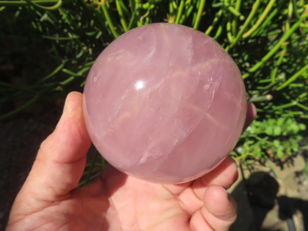 Polished Large Gemmy Star Rose Quartz Sphere x 1 From Ambatondrazaka, Madagascar