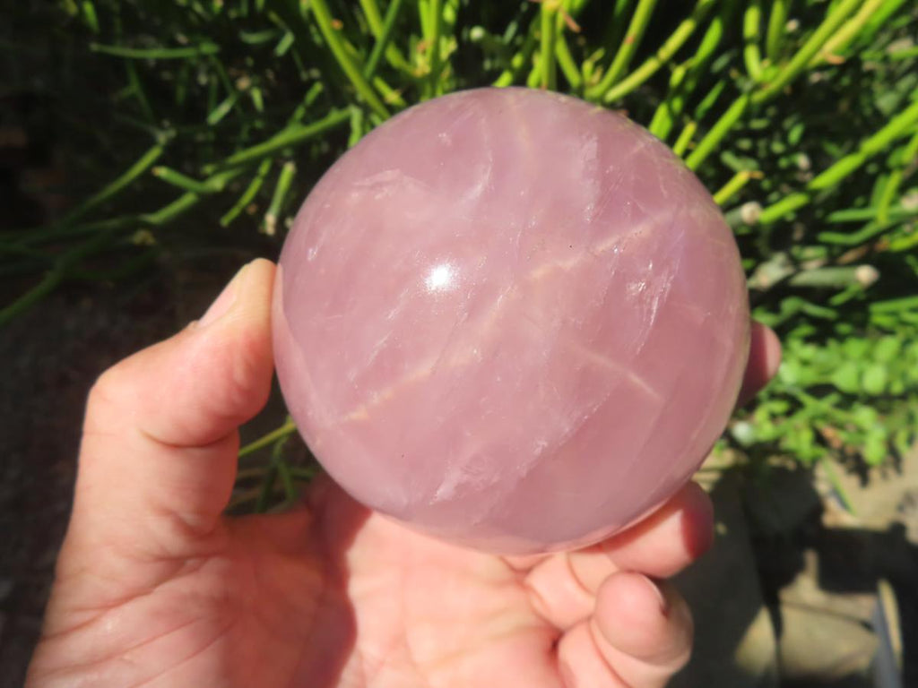 Polished Large Gemmy Star Rose Quartz Sphere x 1 From Ambatondrazaka, Madagascar