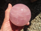Polished Large Gemmy Star Rose Quartz Sphere x 1 From Ambatondrazaka, Madagascar