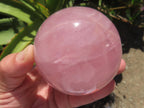 Polished Large Gemmy Star Rose Quartz Sphere x 1 From Ambatondrazaka, Madagascar