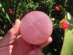 Polished Large Gemmy Star Rose Quartz Sphere x 1 From Ambatondrazaka, Madagascar
