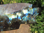 Hand Made Labradorite Leaf Dish or Ring Holder Carving x 1 From Madagascar
