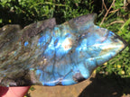 Hand Made Labradorite Leaf Dish or Ring Holder Carving x 1 From Madagascar