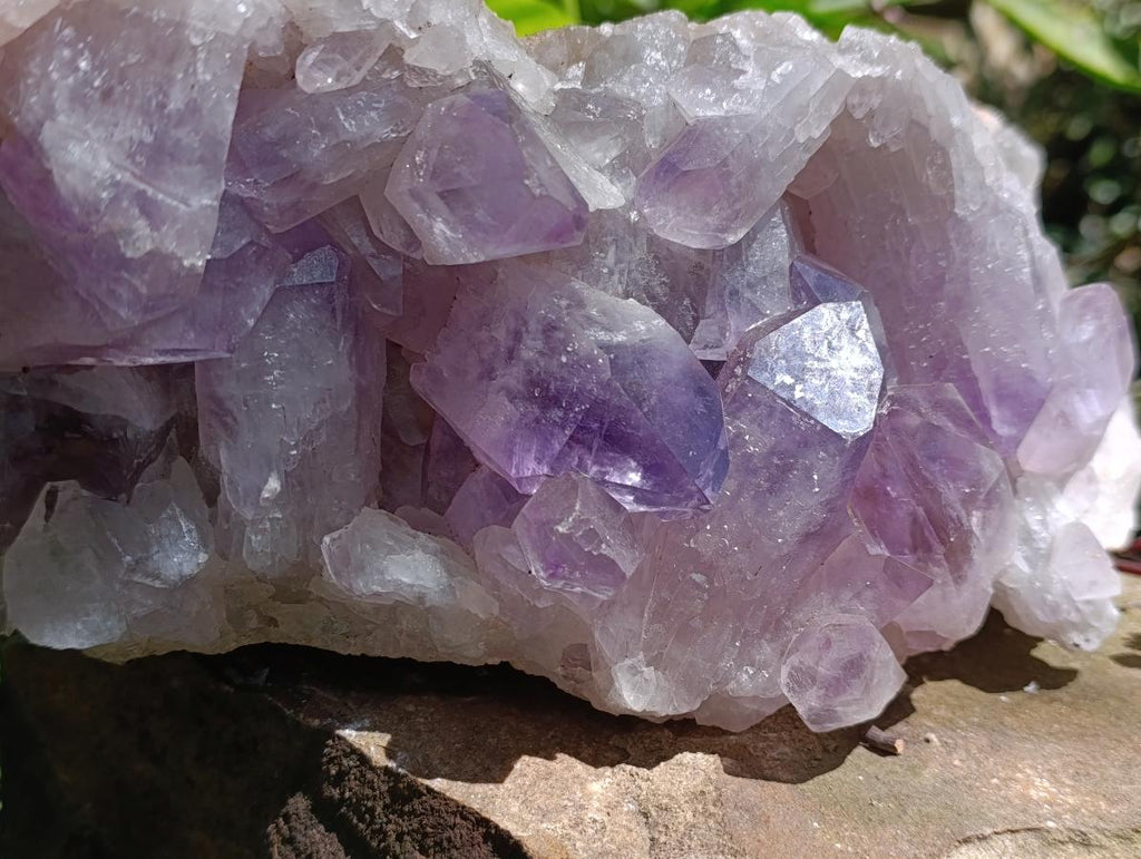 Natural Large Jacaranda Amethyst Crystal Cluster x 1 From Mumbwa, Zambia