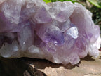 Natural Large Jacaranda Amethyst Crystal Cluster x 1 From Mumbwa, Zambia