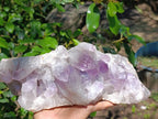 Natural Large Jacaranda Amethyst Crystal Cluster x 1 From Mumbwa, Zambia