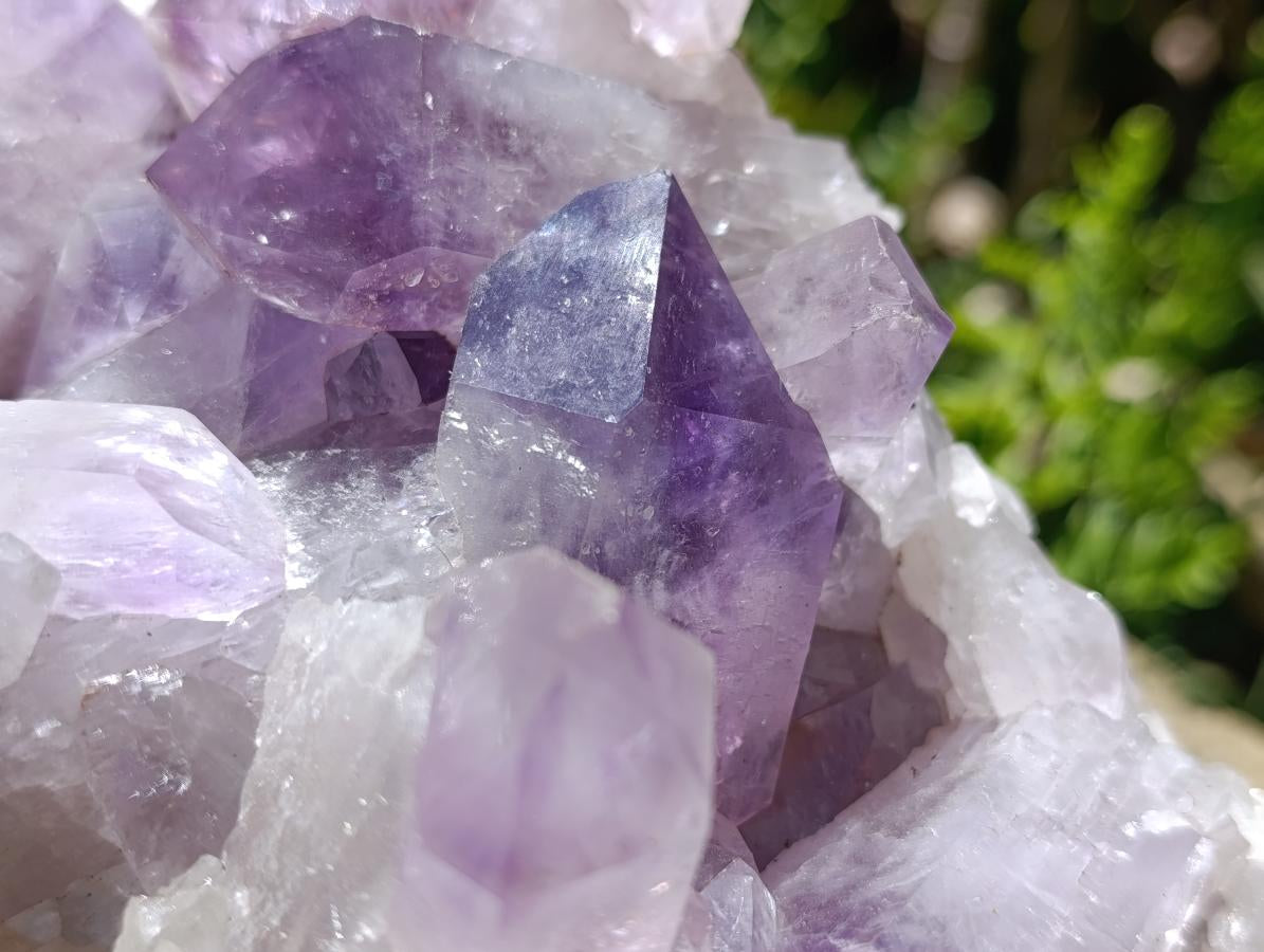 Natural Large Jacaranda Amethyst Crystal Cluster x 1 From Mumbwa, Zambia